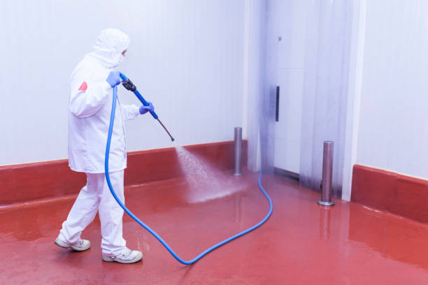 Post-Construction Pressure Washing in Concord, MI